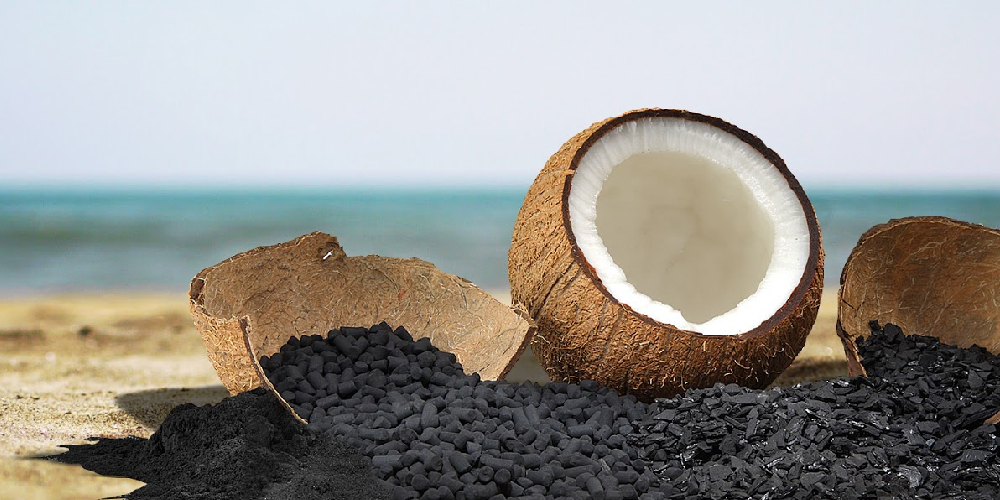3 reasons to import coconut charcoal from Viet Nam