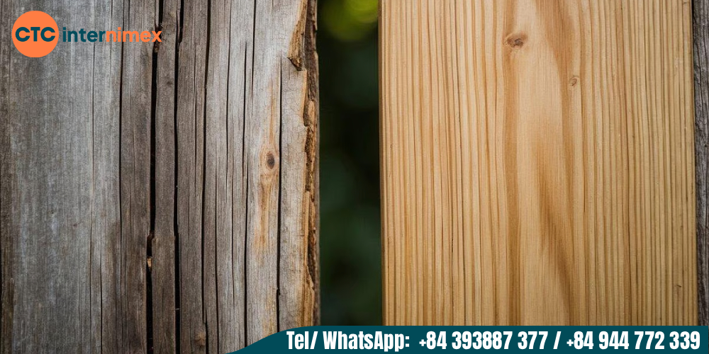 Eucalyptus vs Oak Firewood export from Viet Nam