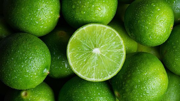 High-Juice Limes: Bulk Import & Premium Quality