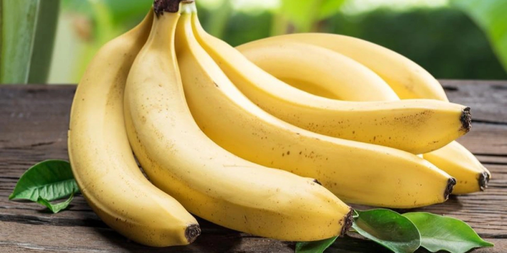 banana export from Viet Nam