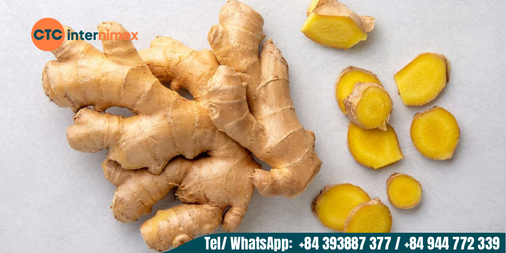Fresh Vietnamese ginger is rich in active compounds, making it a valuable import option.