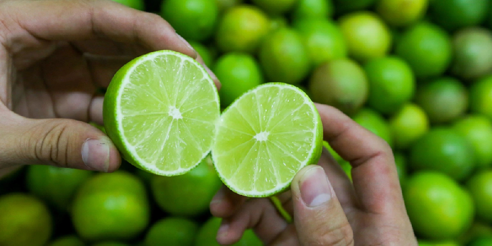 Wholesale Seedless Lime Exporter Vietnam – Global GAP
