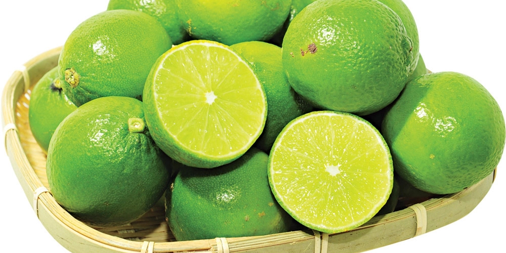 Lemon export from VietNam - chanh không hạt xuất khẩu từ Việt Nam