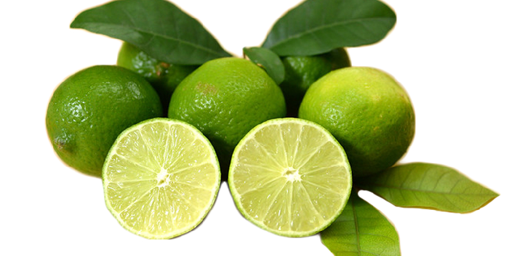 seedless lime export from Viet Nam