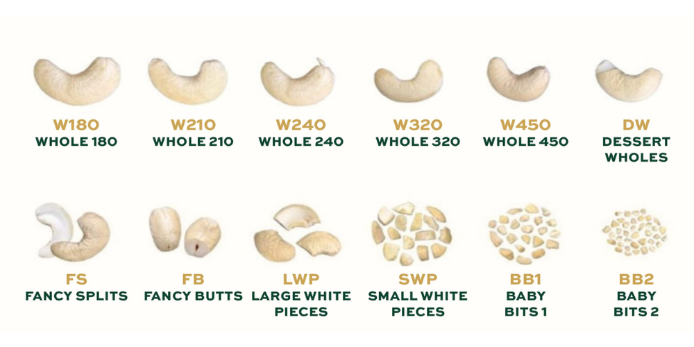 cashew nut Viet Nam