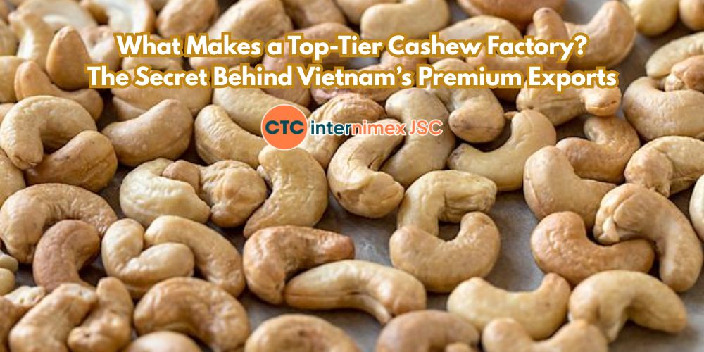 What Makes a Top-Tier Cashew Factory? The Secret Behind Vietnam’s Premium Exports