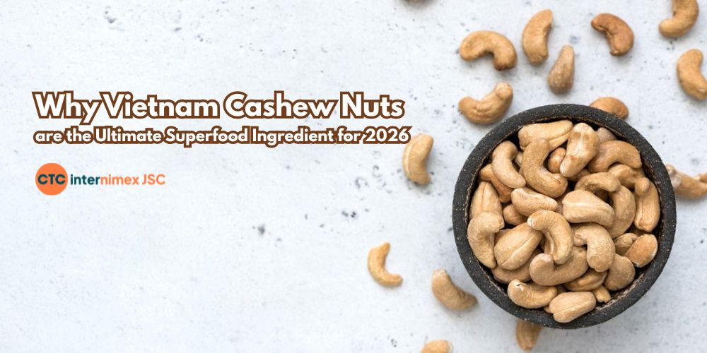 Beyond the Snack: Why Vietnam Cashew Nuts are the Ultimate Superfood Ingredient for 2026