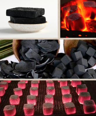 coconut shell charcoal 2